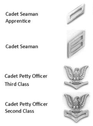 Current Ranks for Promotion